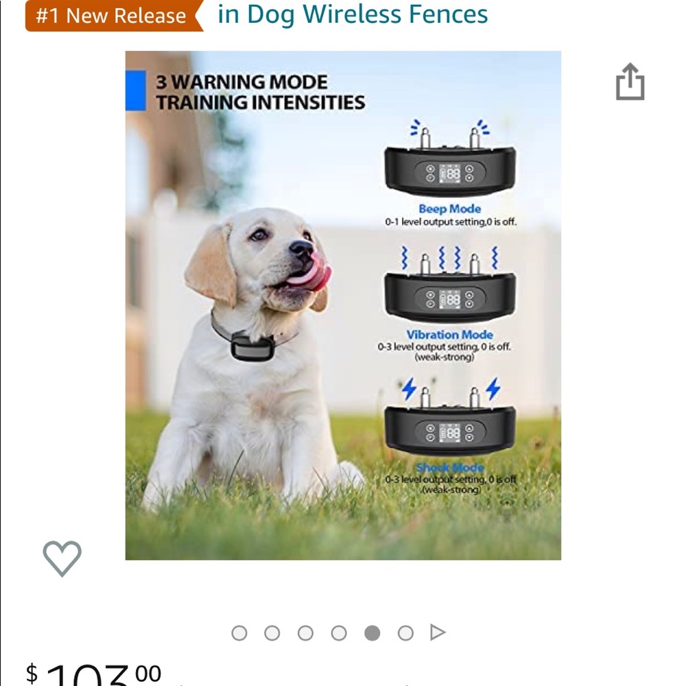 Electric dog fence